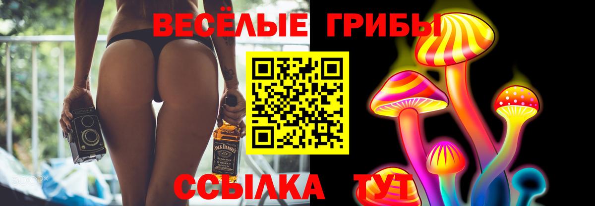 Псилоцибиновые грибы Cubensis  Галлюциногенные грибы мицелий  Вход с VPN  купить наркоту  Луга 