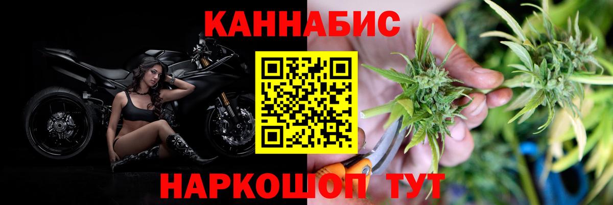 Шишки марихуана планчик Луга